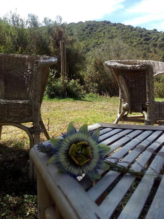 툴라다 Agriturismo S'Arxola 빌라 외부 사진