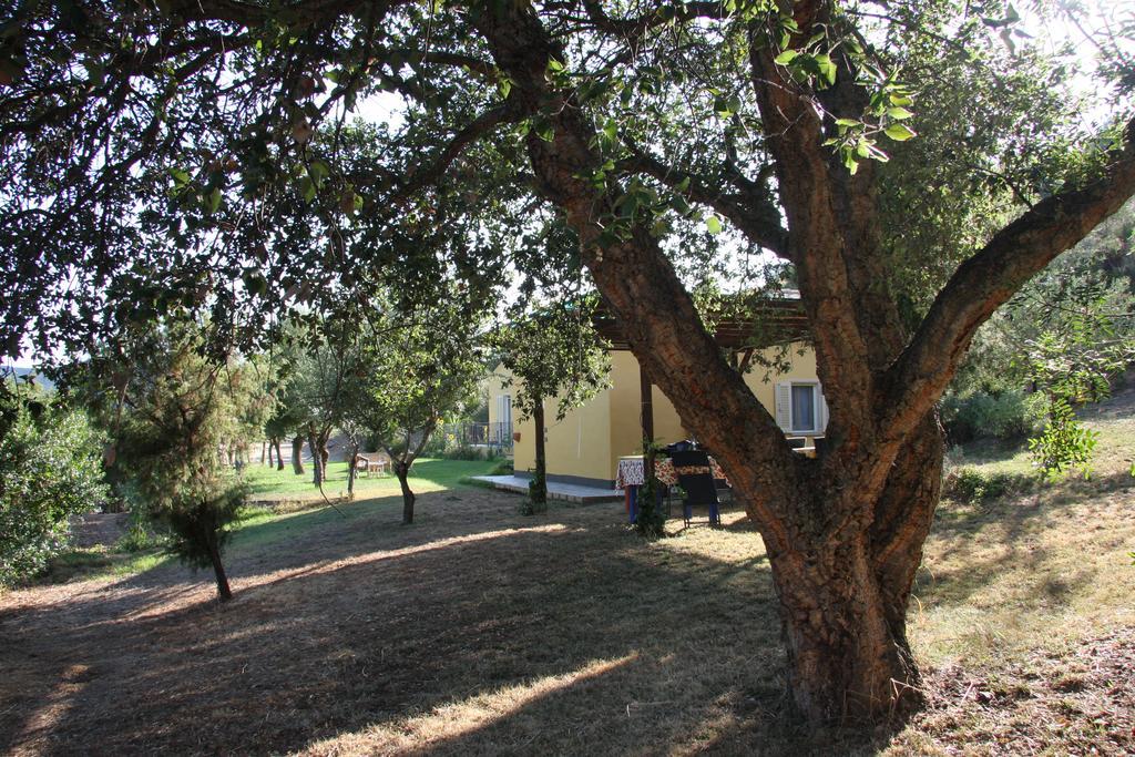 툴라다 Agriturismo S'Arxola 빌라 외부 사진